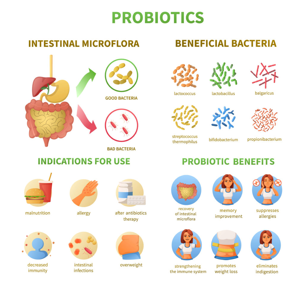 druhy probiotik