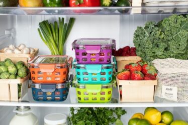 Jak udržovat lednici čistou a bez plísní?